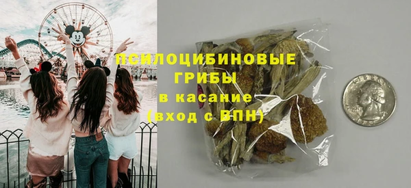 круглые Алзамай