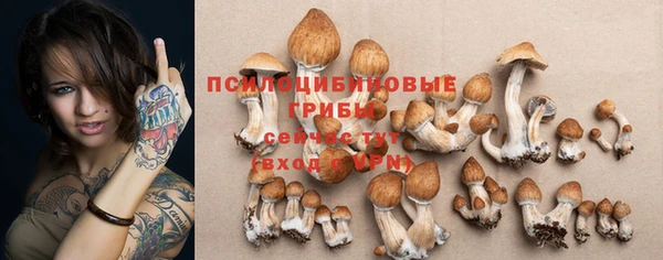 дживик Алексеевка