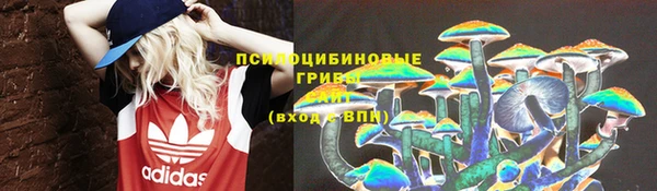 дживик Алексеевка