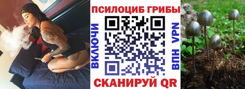 Галлюциногенные грибы Cubensis  Купить  Пенза 